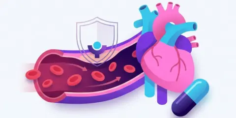 Serce i naczynia krwionośne chronione przez tarczę, symbolizującą działanie leków, np. inhibitory konwertazy angiotensyny. Obok leży kapsułka.